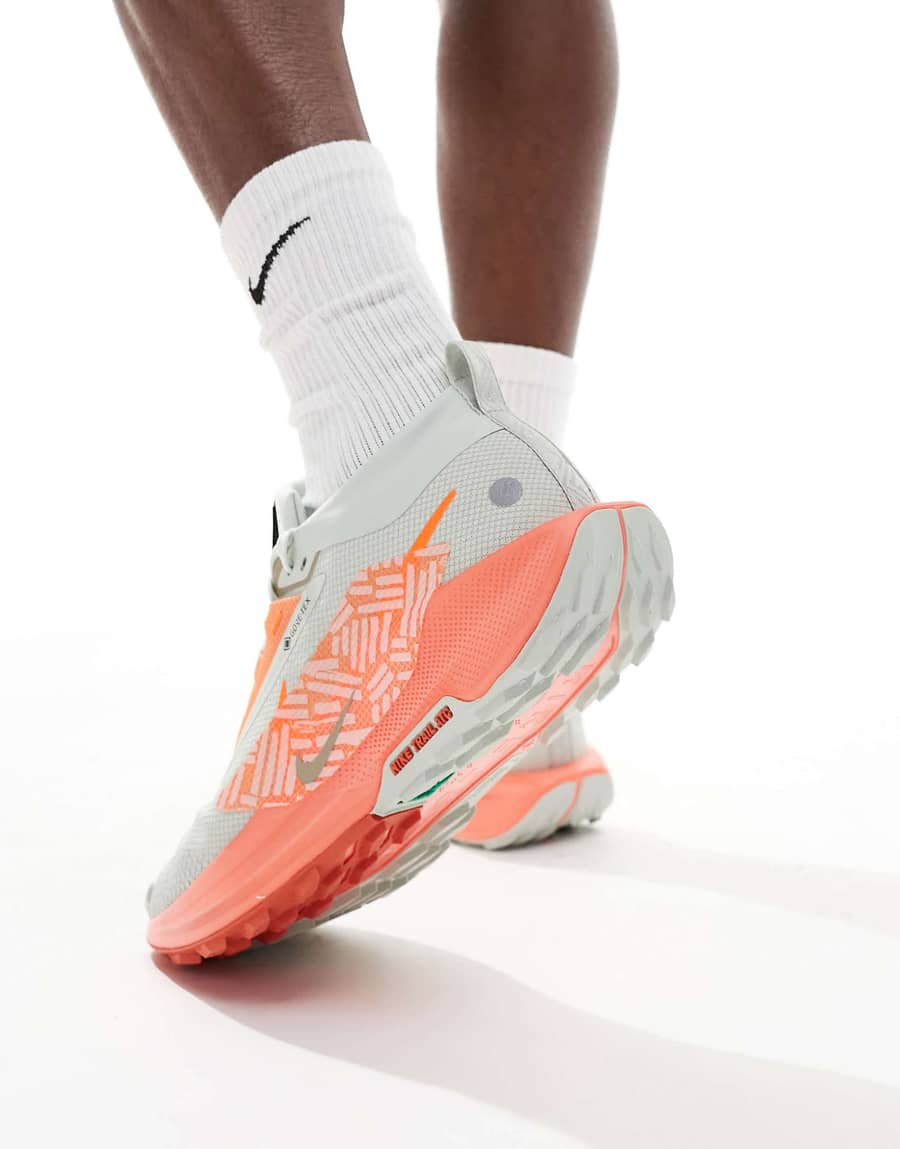 Nike Nike Pegasus Trail 4 GORE-TEX trail shoes Nairobi